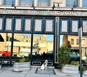 Give Local York for Susquehanna Service Dogs