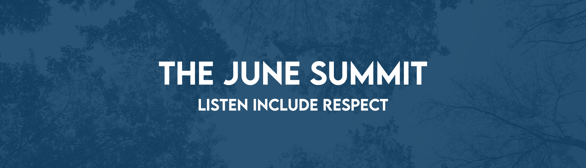 June Summit web banner (1) (1)