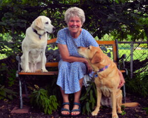 A smiling woman in a blue patterned dress sitting on a wooden bench outdoors with two Labrador Retrievers, one yellow and one light brown.